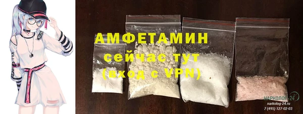 дмт Бородино
