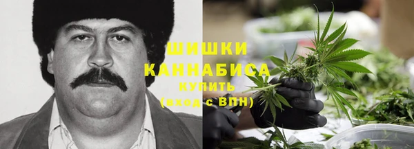 Альфа ПВП Богородск