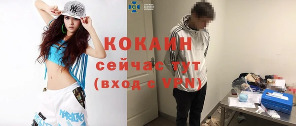 дмт Бородино