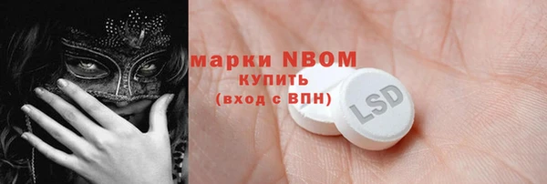 дмт Бородино
