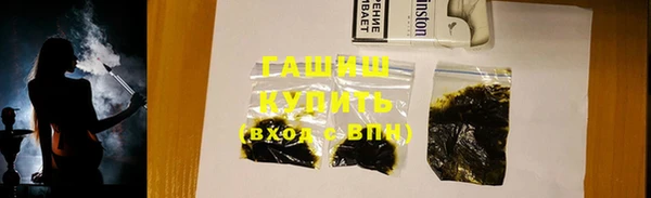 дмт Бородино