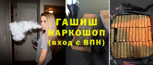 дмт Бородино