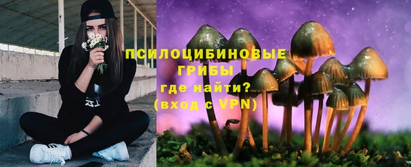 дмт Бородино