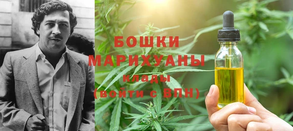 дмт Бородино