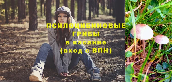 амфетамин Белокуриха