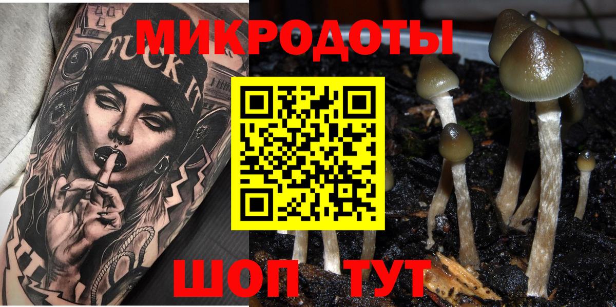 Галлюциногенные грибы GOLDEN TEACHER Городец