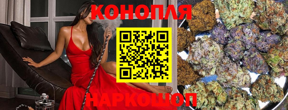 Каннабис планчик  Вход с VPN  Марихуана гибрид  Каннабис White Widow  Городец 